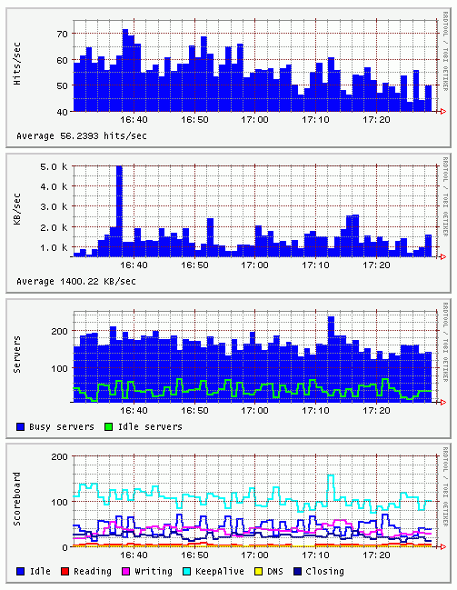 Graphs representing web server activityweb serversstatus monitoringgraphing