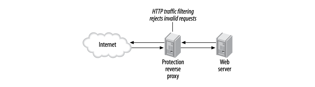 Protection reverse proxy