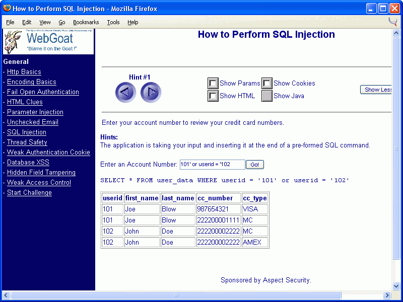 WebGoat security lesson
